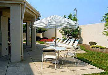 Courtyard Cincinnati Airport South/florence Hotel 3*